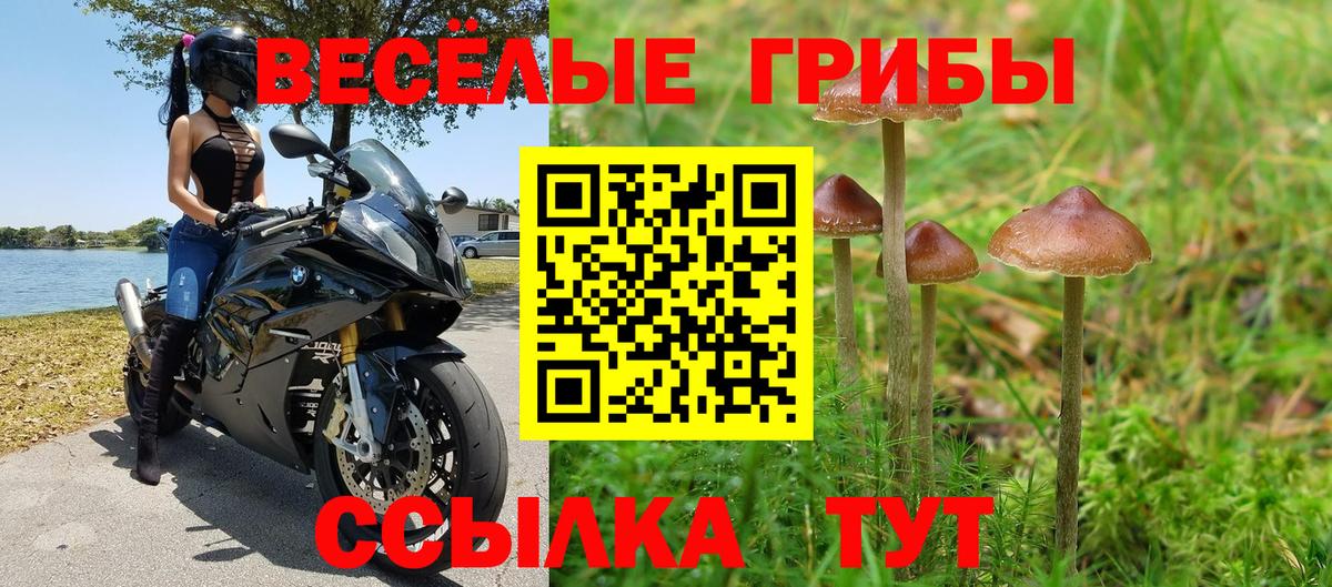 Галлюциногенные грибы Magic Shrooms  купить   Вход с VPN  Россошь  Псилоцибиновые грибы MAGIC MUSHROOMS 