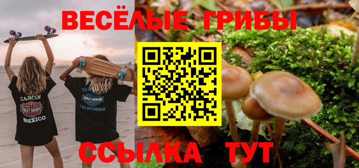 Галлюциногенные грибы Magic Shrooms Россошь